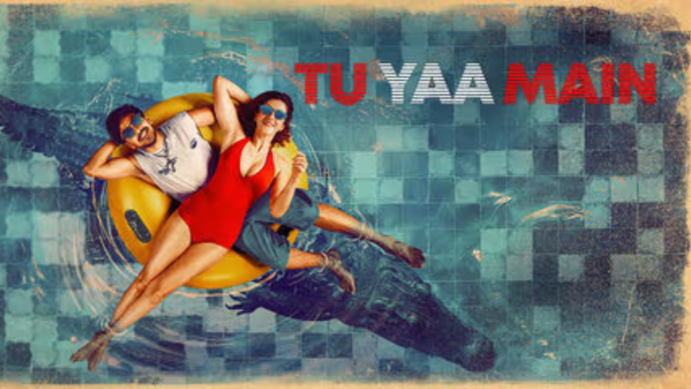 Tu Yaa Main 